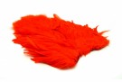 Orange thumbnail