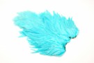 Silver Doctor Blue thumbnail