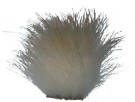 Polar Bear Body (Natural White)   thumbnail