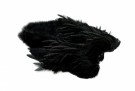 Black thumbnail