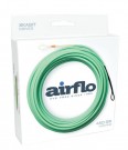 Airflo Skagit Driver (Low Float) 630 grains (41 gram) thumbnail