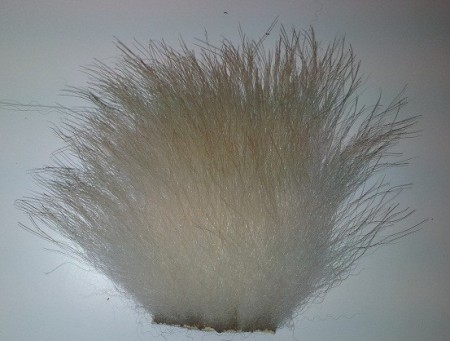 Polar Bear (Natural White)