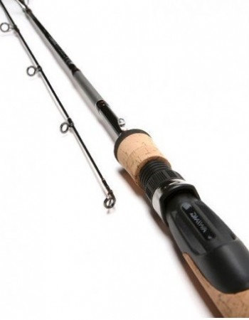 Daiwa LEGALIS 8'0 HEAVY 20-60g