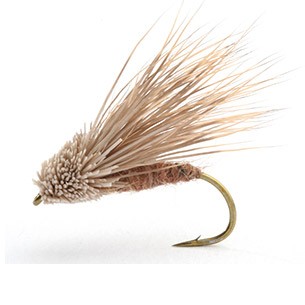 Streaking Caddis 12