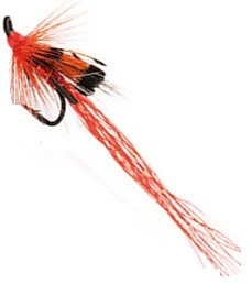 Allys Shrimp (trippel)