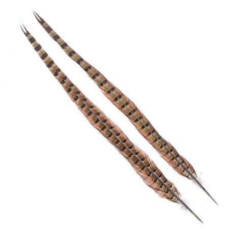 Cock Pheasant Centre Tail, natural (2 pcs) 
