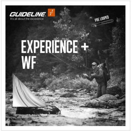 Guideline Experience+ WF