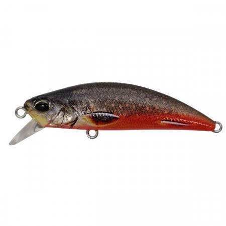 DUO Spearhead Ryuki 50S (Varpet) 