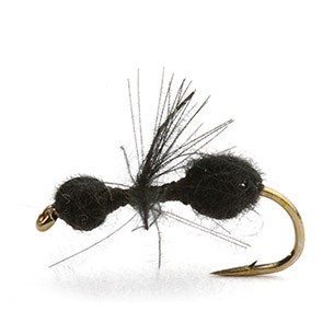 CDC Black Ant 14