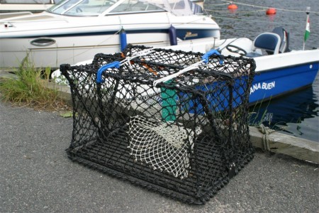 KRABBE/HUMMERTEINE 8,5 kg (63x41x39 cm) - med råtnetråd