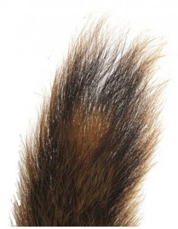 Squirrel Tail, Natural Brown