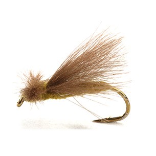 CDC Caddis Adult Olive 12