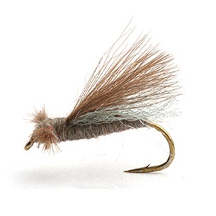 CDC Caddis Adult Gray 12