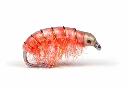 UV Gammarus Orange