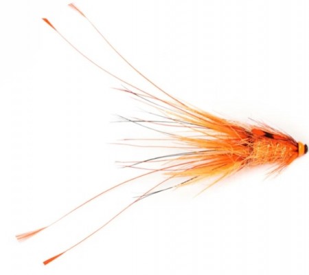 Pig Series - Burning (Mikael Frödin)