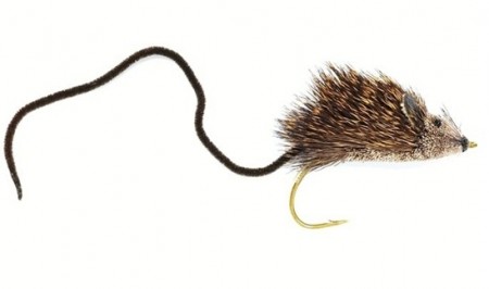 Mouse #6  