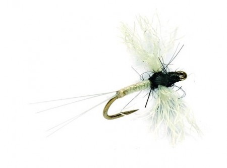 MIDGE CAENIS POLYWING #20