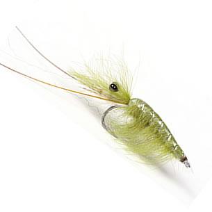 CDC Shrimp - Olive