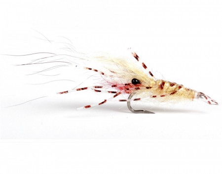 Leo Shrimp Tan #6