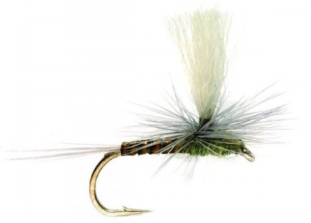 PARADUN QUILL OLIVE #16