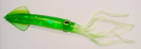 Green Pearl Squid 20 cm