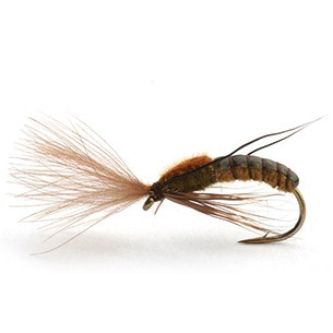 Super Emerging Caddis Brown/olive 12