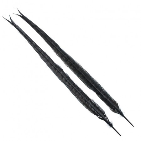 Ringneck Tail, 1 pair BLACK