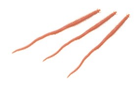 Gulp! Sandworm 15 cm Natural