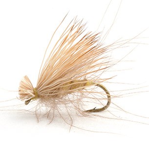 CDC Elk Caddis Olive 12