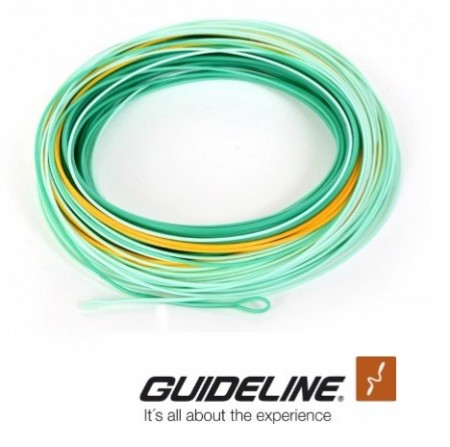 Guideline Coastal Evolve