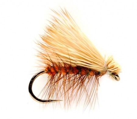 ELK WING ORANGE #10