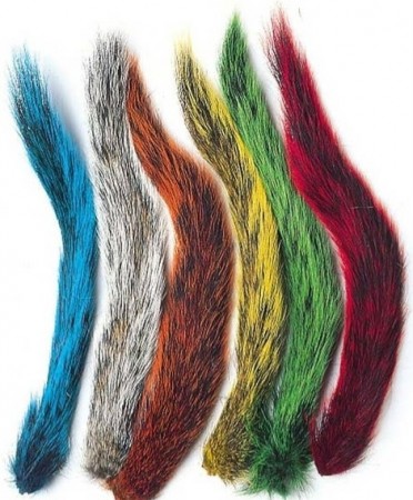 Squirrel Tail (ekornhale) 