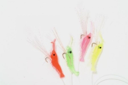 Shrimp Rig Coloured (#8)