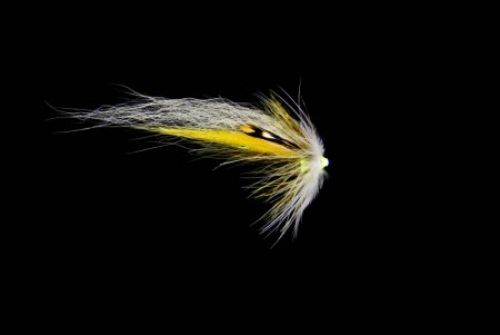 BTT Nobody Yellow White Wing