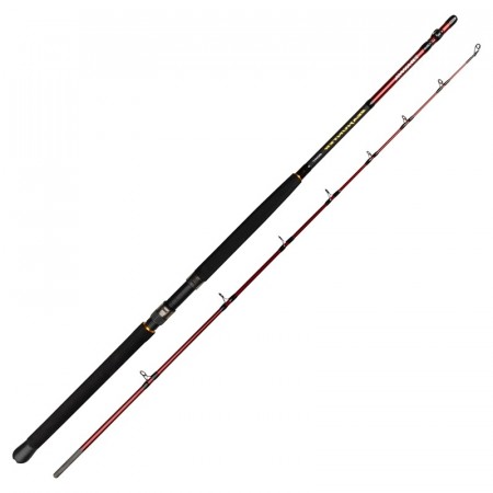 Daiwa Seahunter Boat (2-pc)