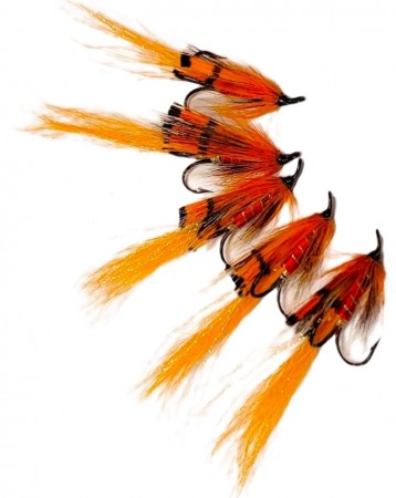 Allys Shrimp (5 stk)  
