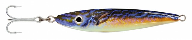 Blåstål/Cuckoo Wrasse