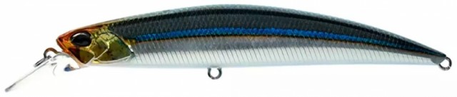 Blackear Sardine