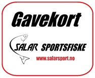 gavekort knapp